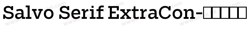 Salvo Serif ExtraCon字体转换